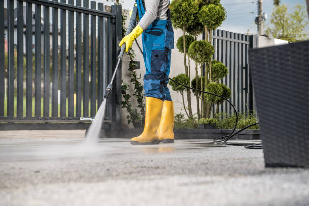 Best Pressure Washing Company Near Me  in Parkland, WA