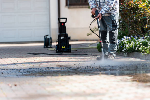 Best Residential Pressure Washing Services  in Parkland, WA